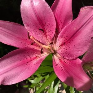 Meet your Posher, Claudia